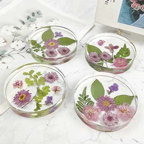 Resinworld RW-MC-100-1112-A 6-Cavity Deep Round Coaster Molds, 4 Inches Coaster Silicone Molds For Epoxy Resin thumb #5