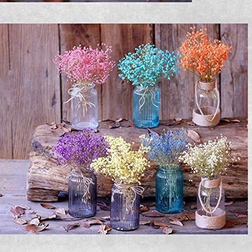 Ramo natural de flores secas Gypsophila para decoración miniatura 3