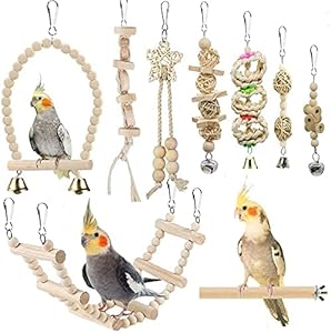YIXUND Vogelspielzeug Papageienschaukel Kletterleiter Set