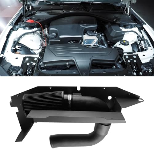 Cold Air Intake with Heat Shield Compatible with 2012 2013 2014 2015 2016 BMW F30 328i 228i 320i 420i 428i 220i N20 N26 2.0T, Black Filter & Black Instake