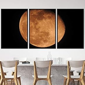 signwin 3 Piece Framed Canvas Wall Art Lunar...