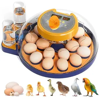 18 Egg Incubator for Hatching Eggs with Automatic Turn, Digital Temperature & Humidity Display