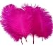 Sowder 20pcs Natural 10-12inch(25-30cm) Ostrich Feathers Plume for Wedding Centerpieces Home Decoration(fuchsia)