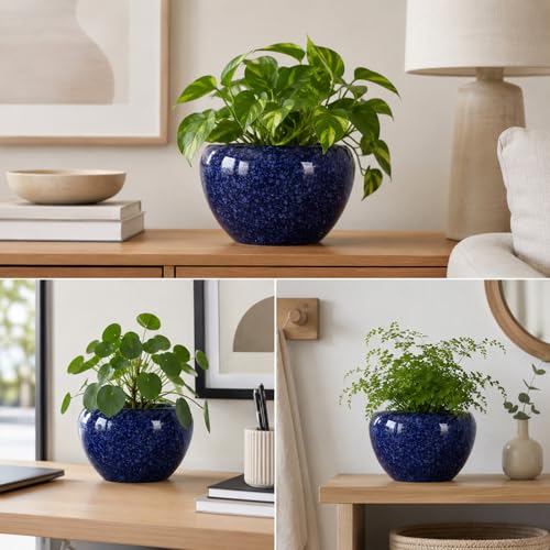 Pot de fleurs en céramique violet pour protéger les succulentes du dessèchement - 6