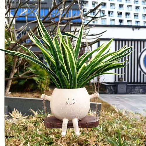 Pot de fleurs intérieur extérieur suspendu pour plante succulente et cactus