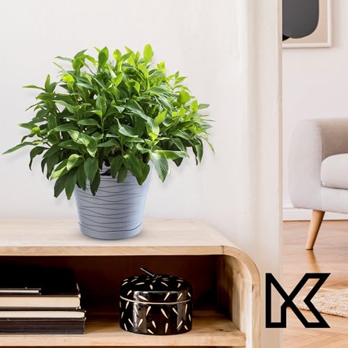 KADAX Blumentopf mit Untersetzer, Pflanzkübel für Innen, Leichter Blumenkübel, Pflanztopf aus Kunststoff, runder Übertopf für Blumen… – Ansicht 7