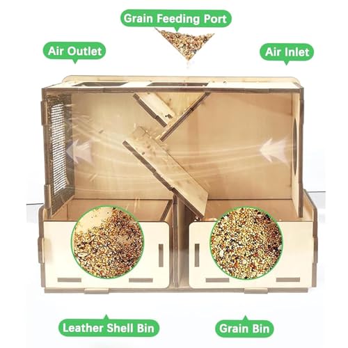 Separador de casca de milho, máquina sopradora de grãos para alimentação de pássaros | Máquina separ
