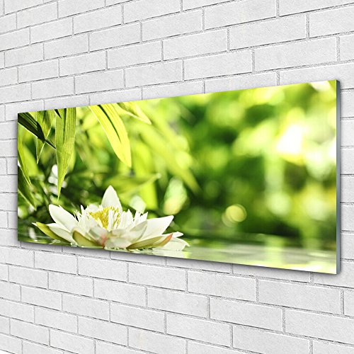 Impression sur verre acrylique Tulup incassable pour décorer un mur nu sans risque de casse
