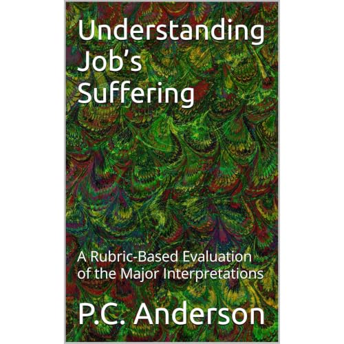 Understanding Job&rsquo;s Suffering Audiobook By P.C. Anderson cover art