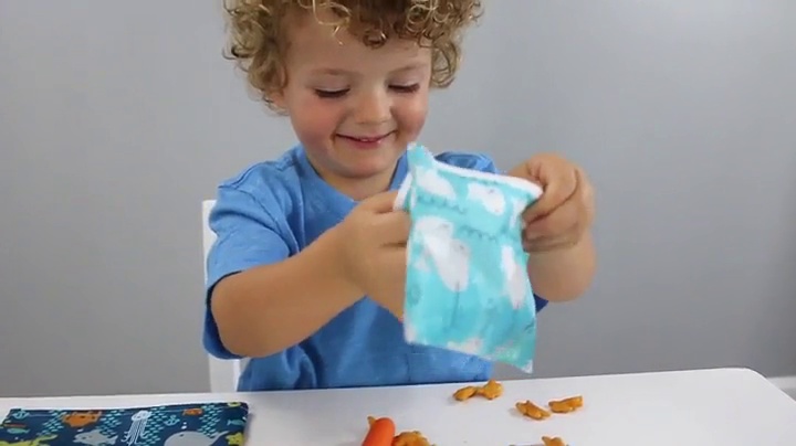 Bumkins Reusable Snack Bag on Amazon Live