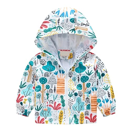 Toddler Boys Girls Dinosaur Windbreaker Lightweight Zip Up Baby Cute Floral Animals Graphic Jacket Long Sleeve