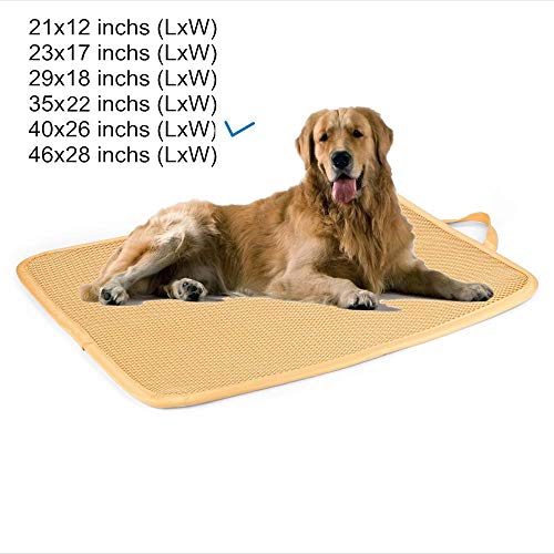 Kimi Homes Kennel Pad - Easy Cleaning Kennel Bed, Quick drying Kennel Mat