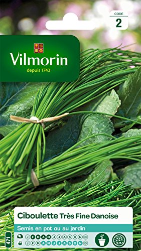 Vilmorin 3410445 Pack de Graines Ciboulette Très Fine Danoise