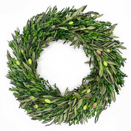Preserved Decorative Real Boxwood Leaf and Olive Leaf Wreath 21 I...