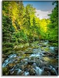 Bathroom Wall Art Decor Bathroom Pictures for Wall Artwork Mountain stream (HDRi) Framed Canvas Wall Art for Bedroom Dining Room Farmhouse 16'x20'
