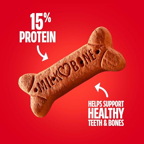 Image of Milk-Bone Flavor Snacks Large Dog Biscuits, Flavored Crunchy Dog Treats, 24 Oz. Box