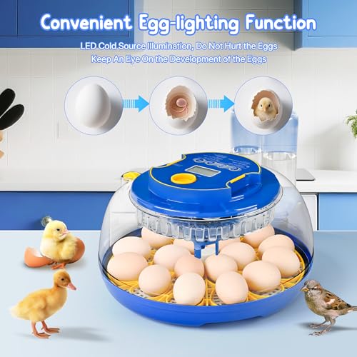 18-36 Eggs Incubators for Hatching Eggs with Automatic Egg Turning and Humidity Control, for Chicken, Duck, Quail, Goose, Parrot Eggs - 360° View for Farm, Classroom, Home Use - Image 4