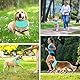 KASESSS Hunde Halstücher Kühlend, Hundehalstuch, Kühltuch Hund Halstuch Kühlend, Hundes Bandana im Sommer, Atmungsaktiv Kühlhalsband für Hundes zum Ausruhen, Schlafen, Sommerspaziergang und Spielen