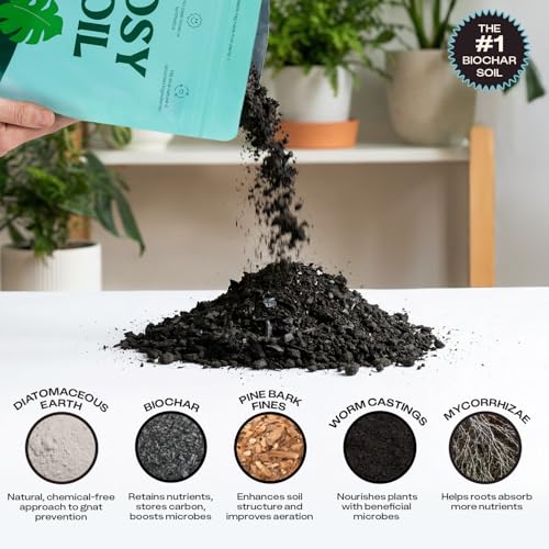 Image of Rosy Soil Houseplant Potting Soil, Organic Indoor Potting Mix, 8 Quarts (Pack of 2)