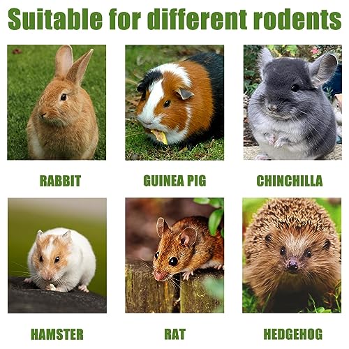 TOKAYIFE Rabbit Chew Toys, 420g Rabbit Treats Natural Timothy Hay Sticks Boredom Breakers for Rabbits Chinchillas - Image 4