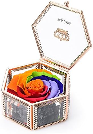 hey June Gifts for Women, Preserved Flower Rose, Never Withered Roses, Upscale Immortal Flowers, Best Gifts for Women,Her, Mother's Day,Valentine's Day, Anniversary, Birthday, Wedding