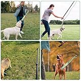 Reizangel Hunde Große Hunde, Profi Reizangel für Hundes längenverstellbar 124cm für Längenverstellbar mit 2 Seil Spielzeug, Hundespielzeug Ausziehbar aus Aluminiumlegierung Für Mittlere & Große