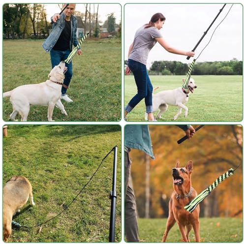 Reizangel Hunde Große Hunde, Profi Reizangel für Hundes längenverstellbar 124cm für Längenverstellbar mit 2 Seil Spielzeug, Hundespielzeug Ausziehbar aus Aluminiumlegierung Für Mittlere & Große