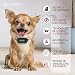 PetKing Premium Collar Antiladridos para Perros Pequeños y Grandes Collar Adiestramento Perros...