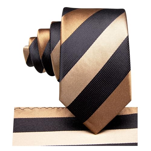 Dubulle Ties for Boys Self Tie Silk Paisely Striped Kids Necktie and Pocket Square Set for Age 8-113