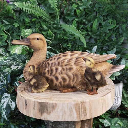 Canard et canetons Vivid Arts statue de jardin en résine déco extérieure - 7