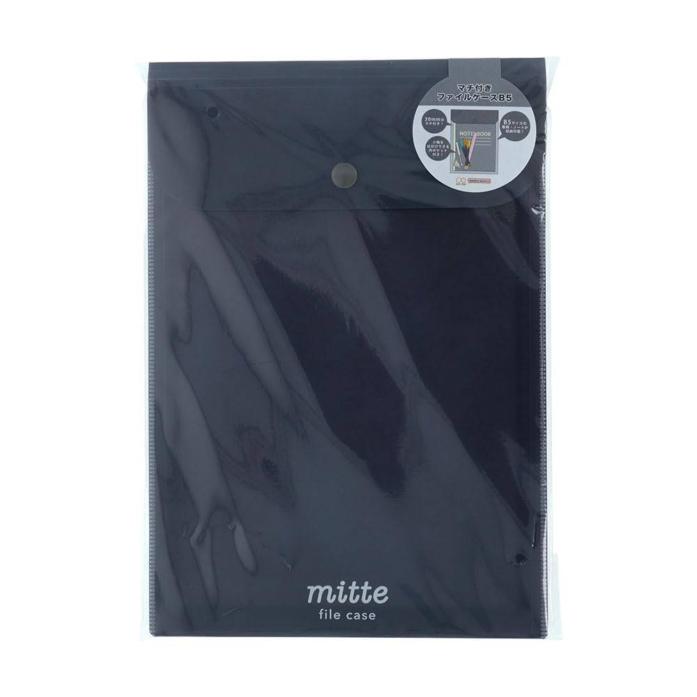 Amazon | サンスター文具(Sun-Star Stationery) ファイルケース B5