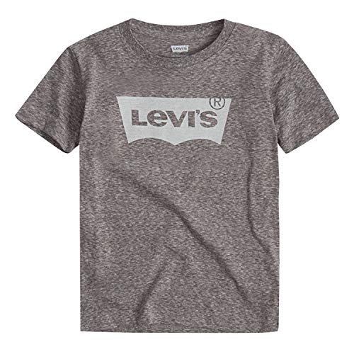 Image of Levi's Boys' Classic Batwing T-Shirt