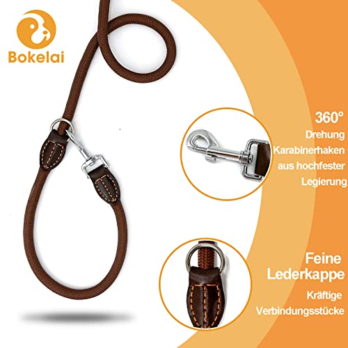 Hundeleine Doppelleine für Mittelgroße Große Hunde Führleine 3m Verstellbar mit 2 Karabiner Leine Hund Robust Nylon Dog Leash Multifunktionale Hundeleine 3 Meter lang x 1,4 cm Braun