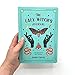 The Baby Witch’s Journal