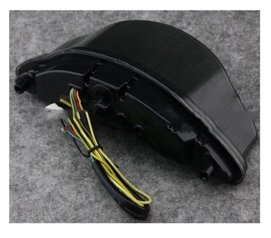 Feu arrière de moto intégré LED pour de longues balades en Warrior 2002-2008