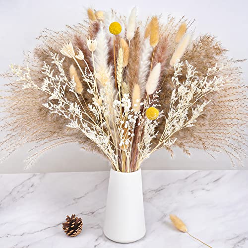 Pampas Grass 120 Pcs/12 Various Boho Wedding Home Table Fall Decor Dried Flowers Arrangements White & Natural Dried Pampas Grass, Reed Grass, Bunny Tails Grass #TOP11
