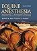 Equine Anesthesia: Monitoring and Emergency Therapy