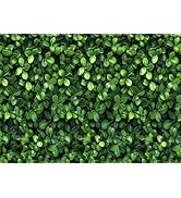 Amazon.com : LYWYGG 7x5FT Vinyl Green Leaves Photography Backdrop