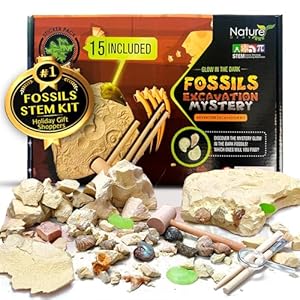 Dino Fossil Dig Kit for Kids, Educational Excavation Kit with 15 Glow in The Dark Mystery Fossils, Interactive Dinosaur Science Kits for Kids Age 3-5 and Up, Excavation Adventure Kit