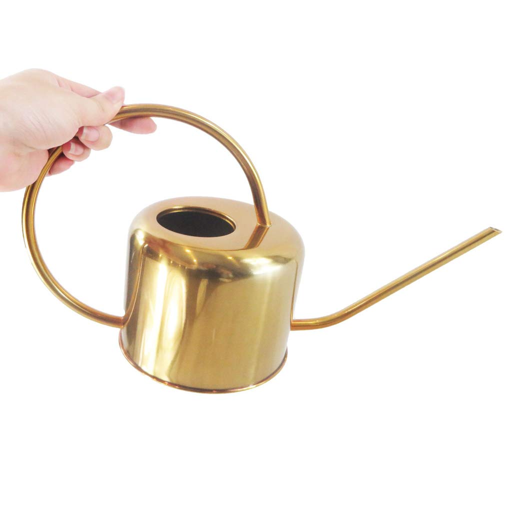 Arrosoir en Acier Inoxydable avec Longue Verseuse et Style Élégant pour Soins Réguliers des Plantes d'Intérieur Adapté Véranda Balcon Séjour