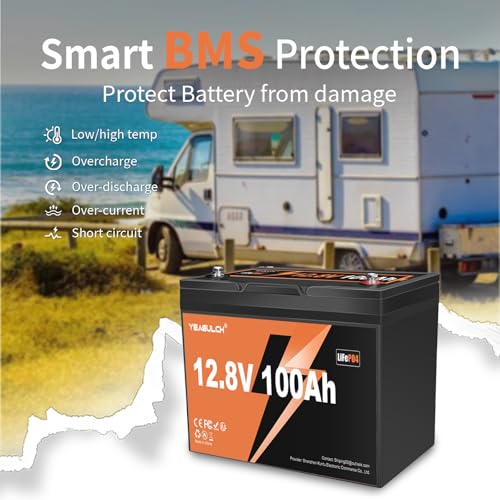 2 Pack 12V 100Ah LiFePO4 Battery