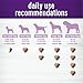Wellness Tasty Cheese Flavored Soft Chews Calming Supplements for Dogs, 90 Count