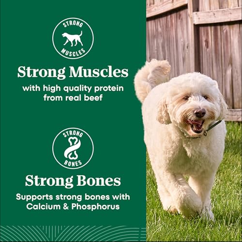 Nutro Natural Choice Adult Dry Dog Food, Beef & Brown Rice Recipe, 4.5 lb - image 9