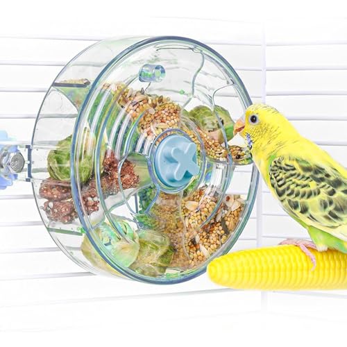 Botocoo ̉a CR̂ g[jO{[ mtH[WO 360°] mߋ |^Cvނ t[htB[_[ a킨 pANZT[ (u[)