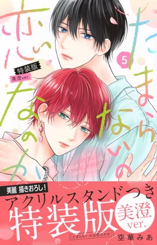 たまらないのは恋なのか(5)特装版 美澄ver. (講談社キャラクターズA)のサムネイル