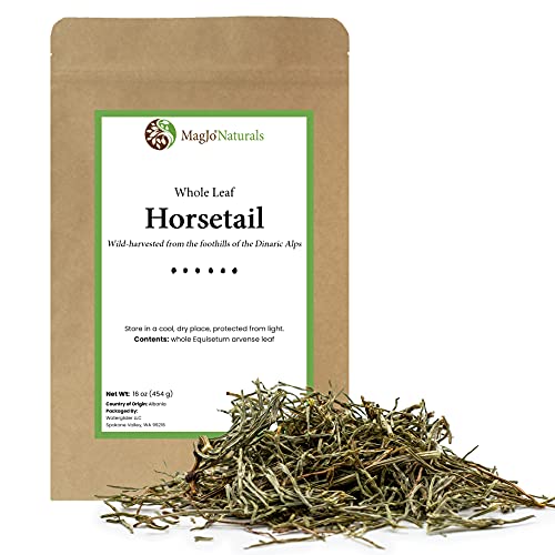 MagJo Naturals Horsetail Herb, Shavegrass, Whole Leaf, Dried Equisetum arvense, 1 lb (16 oz)
