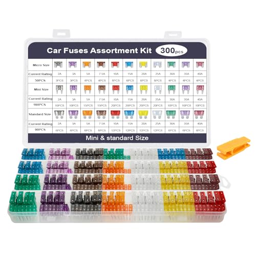 AiQInu Kit de 300 Piezas de Fusibles de Coche 12v-32v, 160 Mini + 90 Mediano + 50 Micro + Clip, Automóvil Fusible para 2A/3A/5A/7.5A/10A/15A/20A/25A/30A/35A/40A