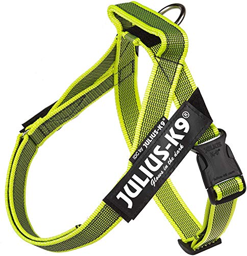 Julius-K9 Pettorina a Fascia Color & Gray, Taglia Mini, Neon/Grigio