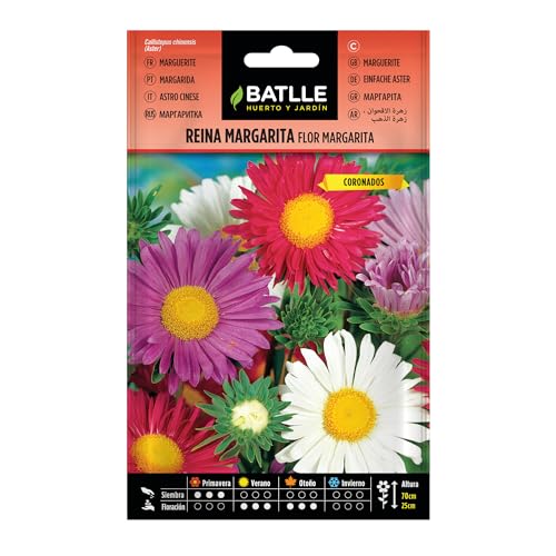 Semillas Batlle Rainha Marg. Flor de mármore