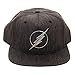 Bioworld DC Comics The Flash Iridescent Weld Woven Fabric Snapback Cap Hat